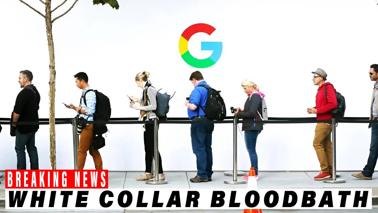 The AI Job Market Shock: Why Millions of Entry-Level White-Collar Jobs Are Vanishing