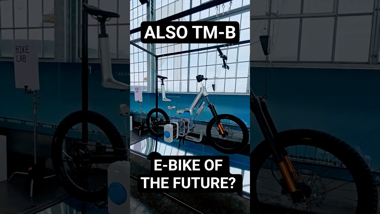 The ALSO TM-B | The First But Not Last From Also