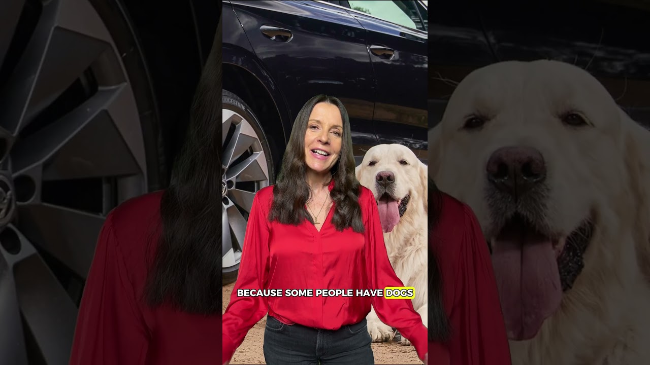 The rear window is BACK!