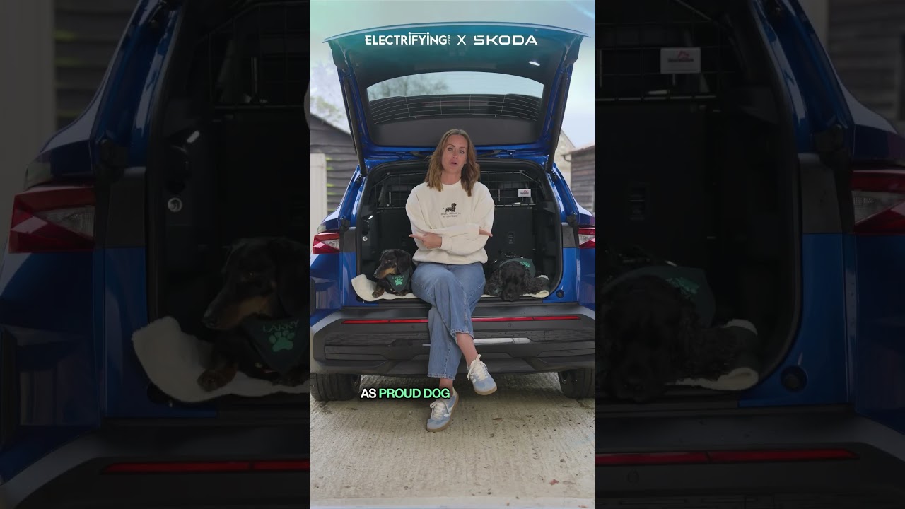 EVs Won’t … make a dog happy