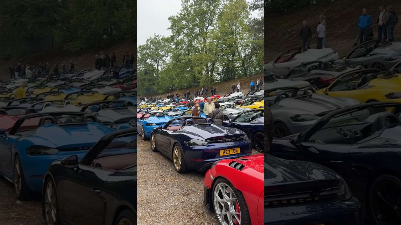 What is the Collective Noun for a gathering of Porsche Spyders ? #shorts #porsche #porschespyder