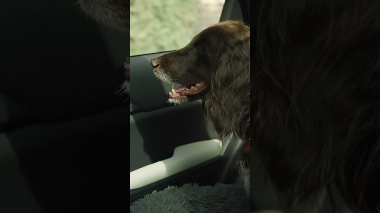 Kia EV5: city streets to country retreats #ytshorts #shorts