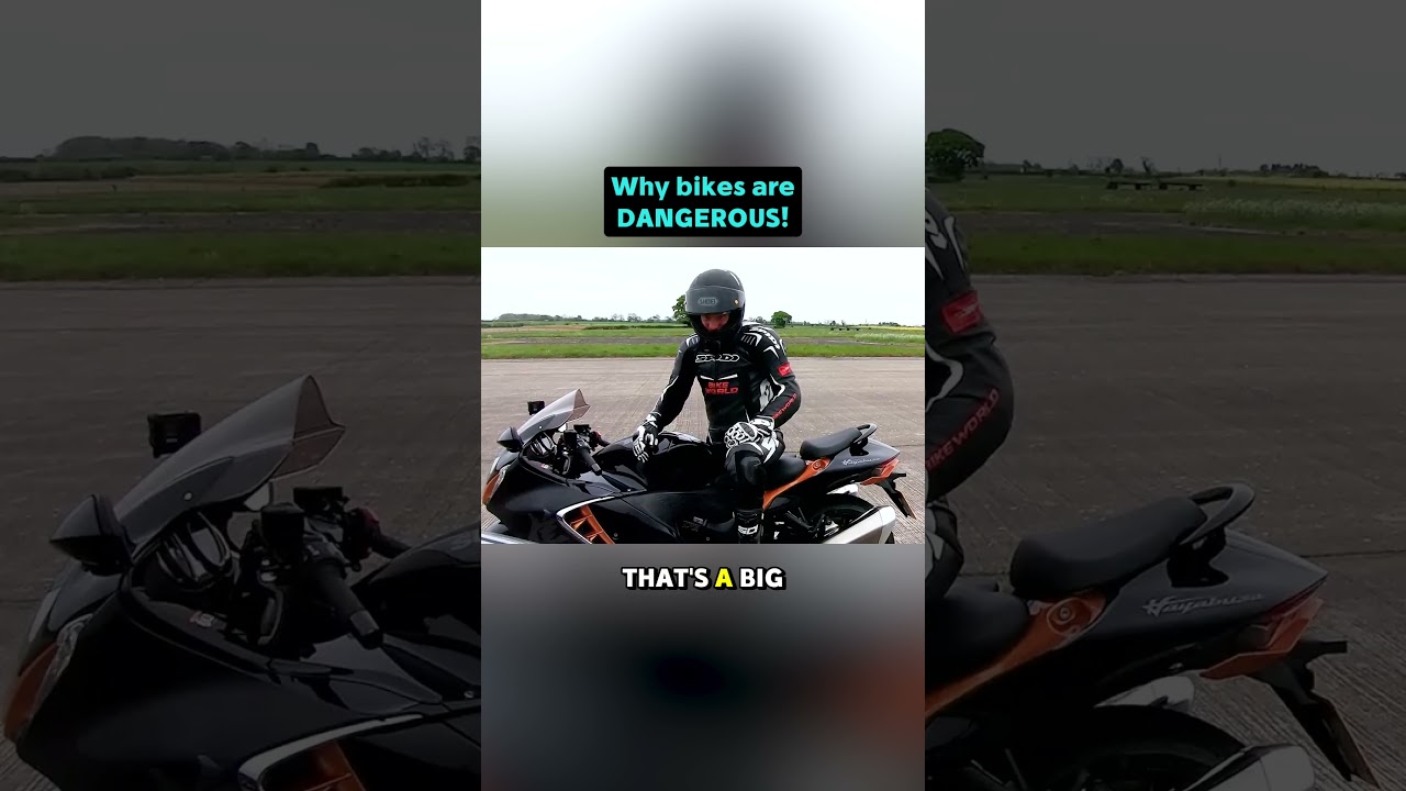 This guy had no fear… 😱