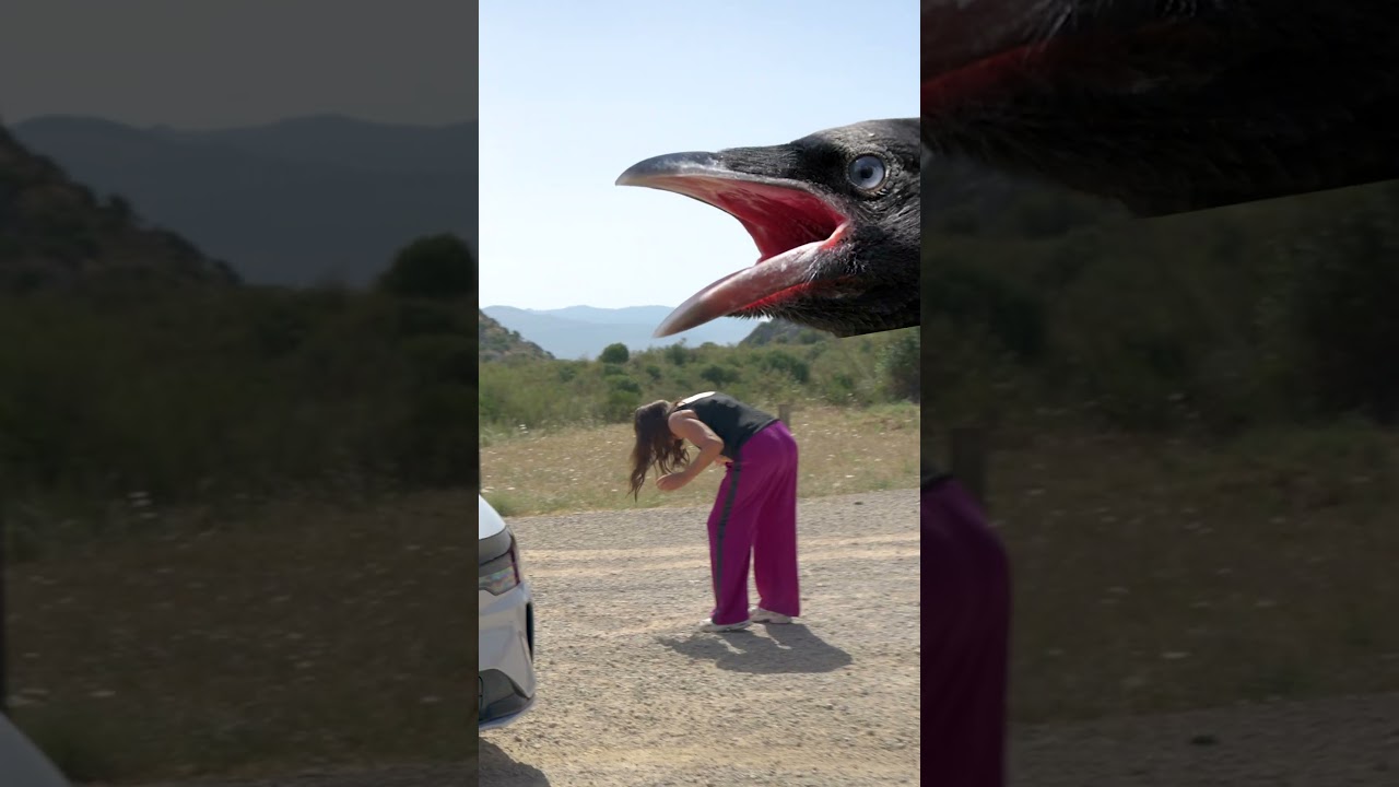 An unwelcome visitor to our Zeekr 7GT review…