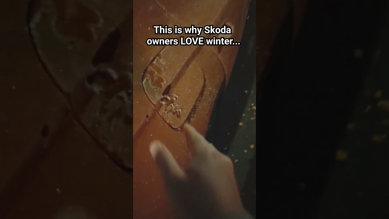 Skoda Owners + A Frosty Morning = ❤️