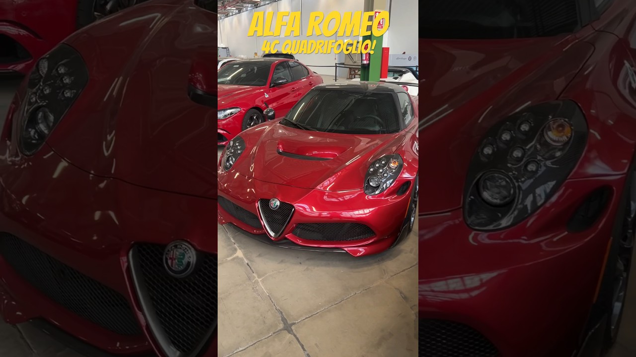 The car you didn’t know existed – Alfa Romeo 4C Quadrifoglio #shorts #petrolped #alfaromeo #alfa4c