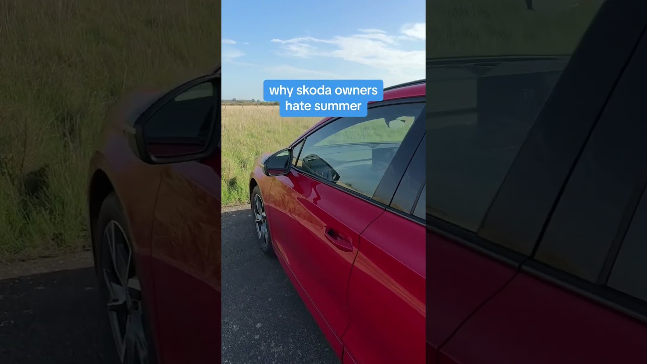 This is why Skoda owners HATE summer…